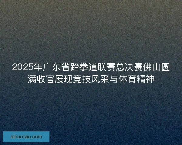 2025年广东省跆拳道联赛总决赛佛山圆满收官展现竞技风采与体育精神