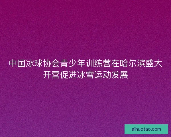 中国冰球协会青少年训练营在哈尔滨盛大开营促进冰雪运动发展 中国冰球协会青少年训练营在哈尔滨盛大开营促进冰雪运动发展