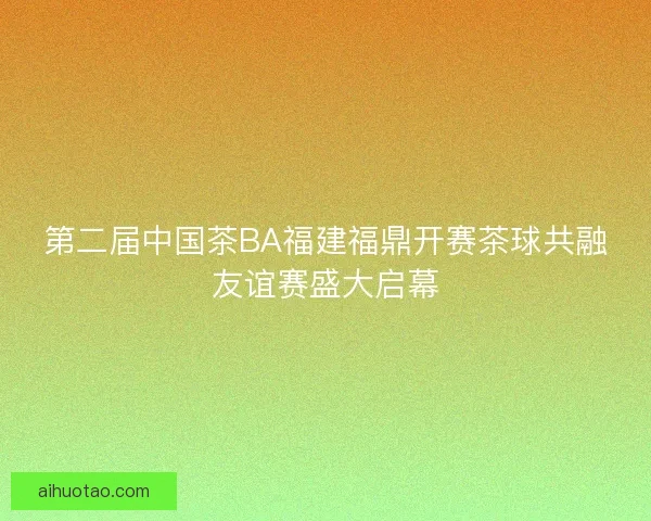 第二届中国茶BA福建福鼎开赛茶球共融友谊赛盛大启幕